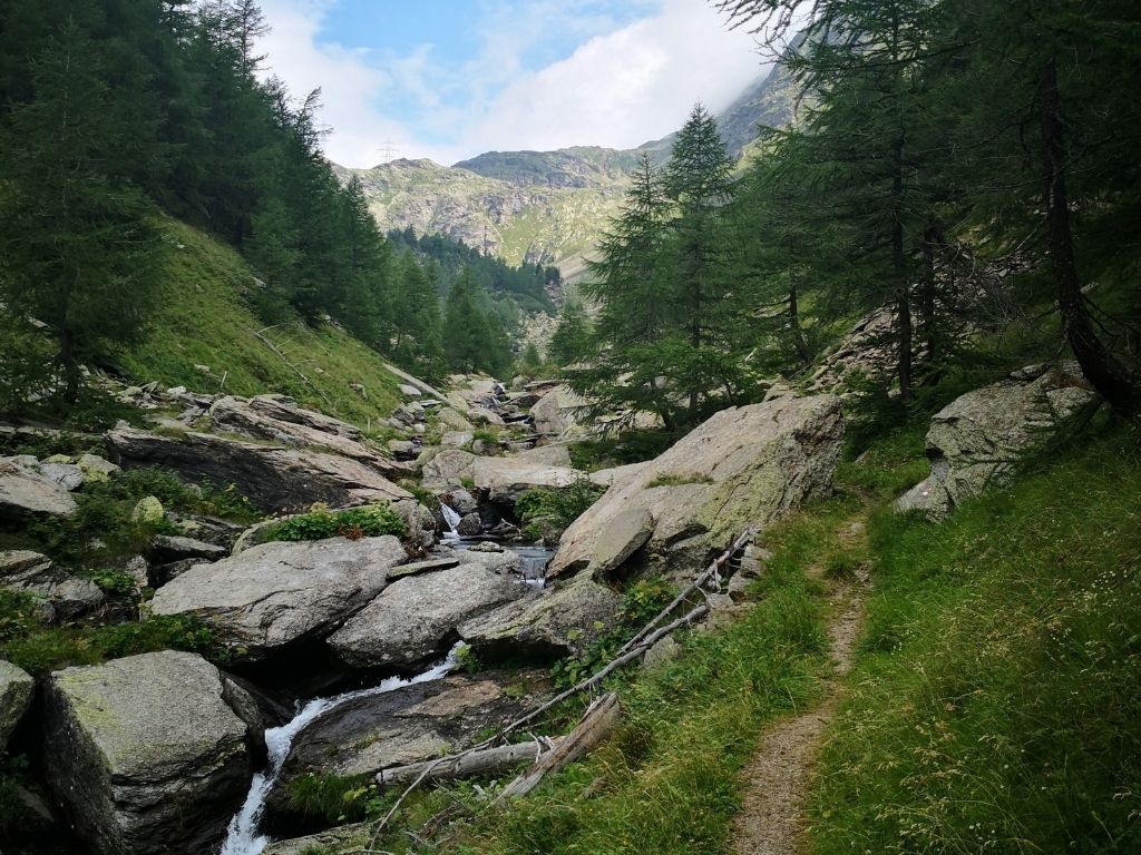 Alp Grüm - Cavaglia (Via Val da Pila)