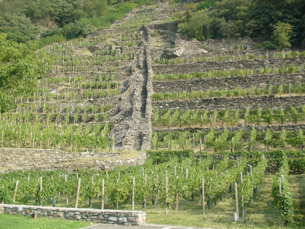 Weinkellereibesichtigung Misani in Brusio