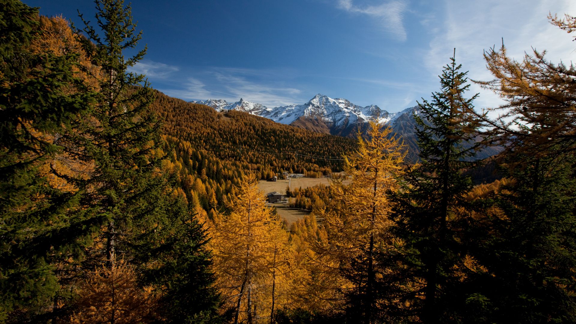 Herbst in der Valposchiavo