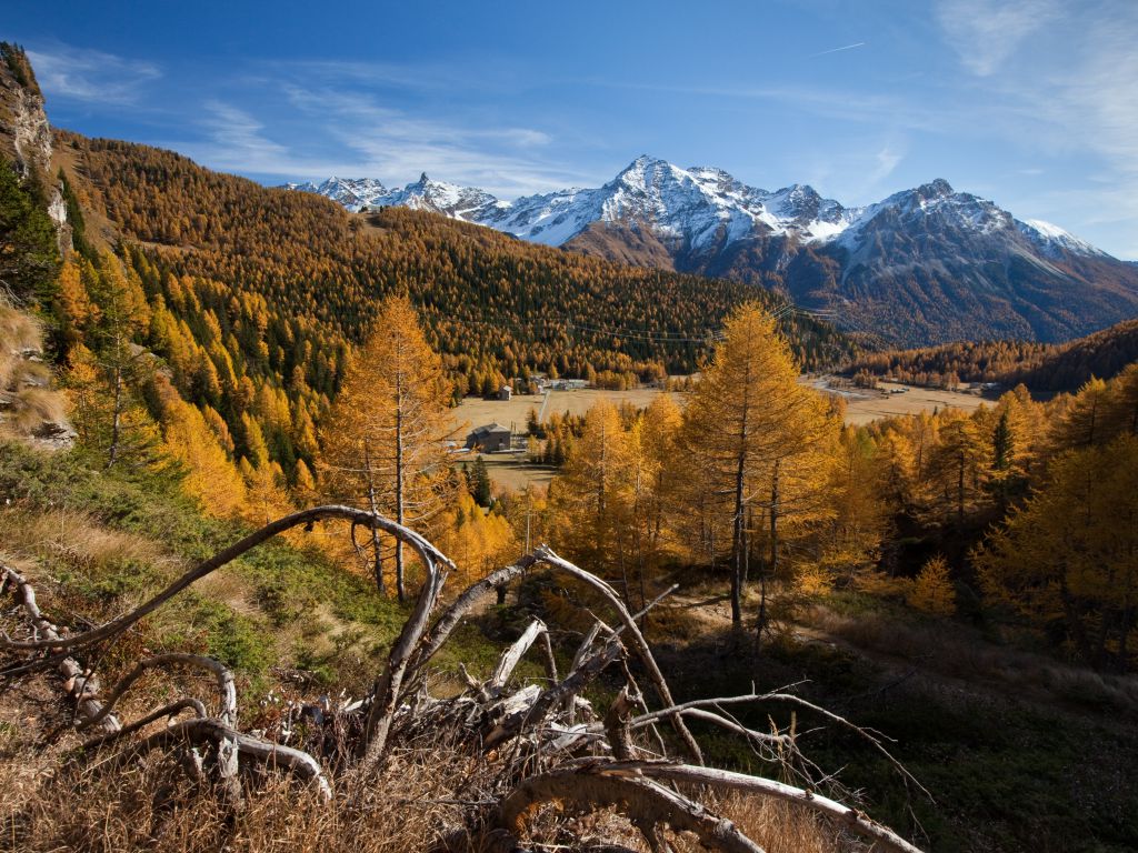 Herbst in der Valposchiavo
