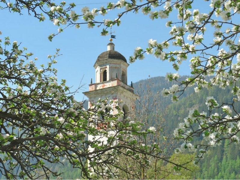 valposchiavo_eventi_chiesaevangelica_fiori