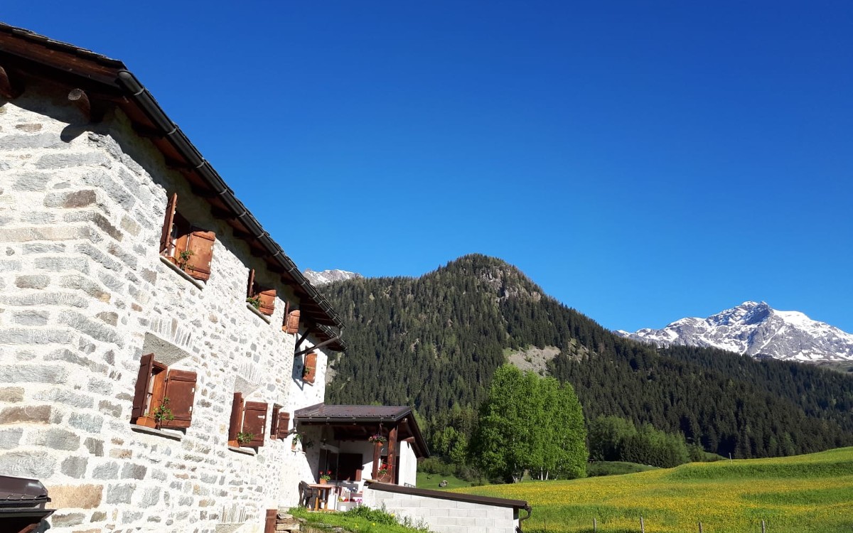 Der letzte Vogt auf Pedenale